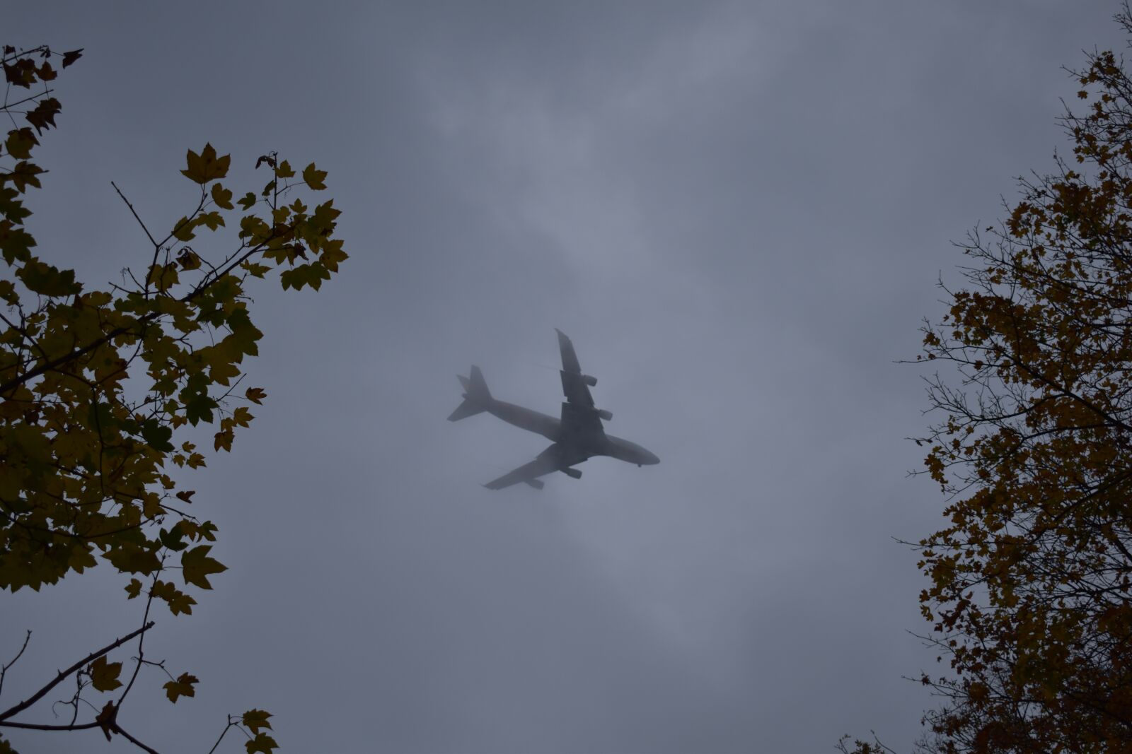 Nikon D3500 sample photo. Aircraft, mystical, fog photography