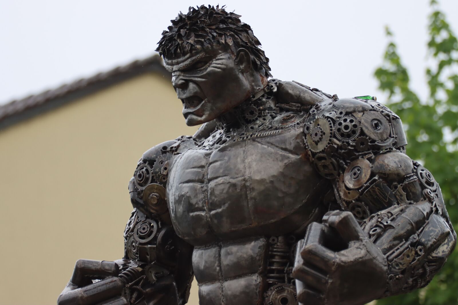 Canon EOS 90D sample photo. Force, courage, dispute photography