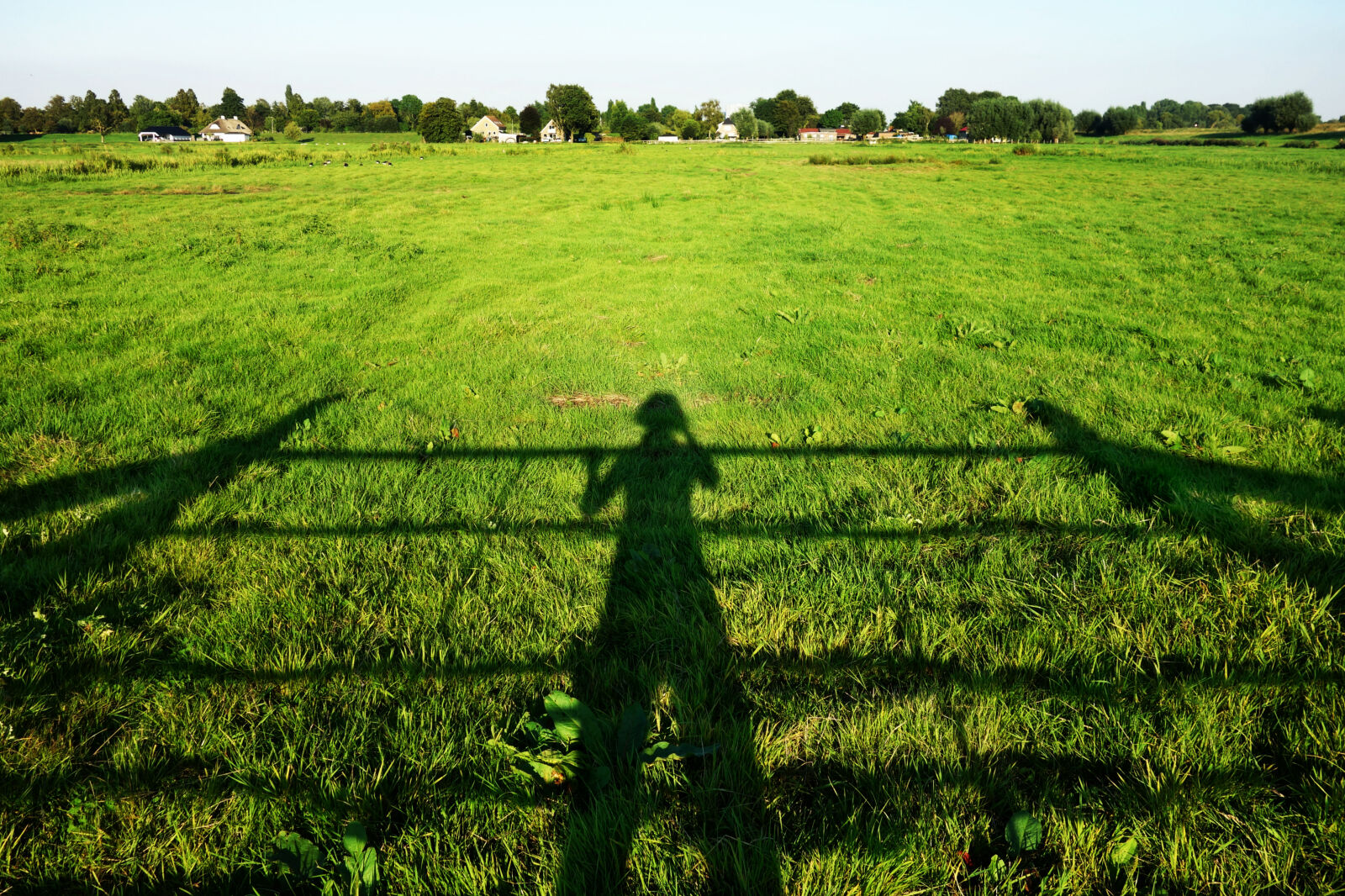 Sony Cyber-shot DSC-RX100 sample photo. Countryside, crop, cropland, farm photography