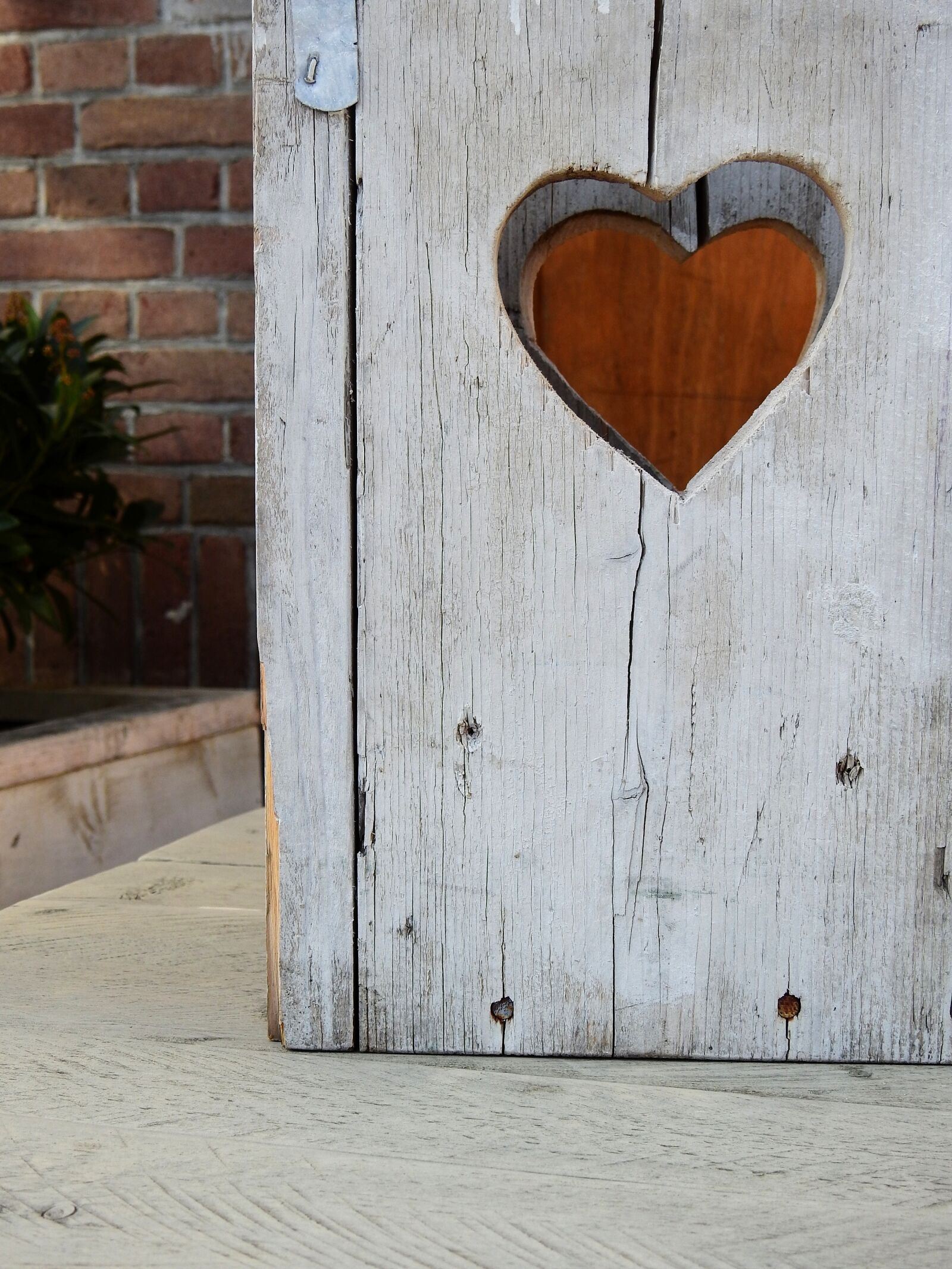 Nikon Coolpix P900 sample photo. Heart, love, romance photography