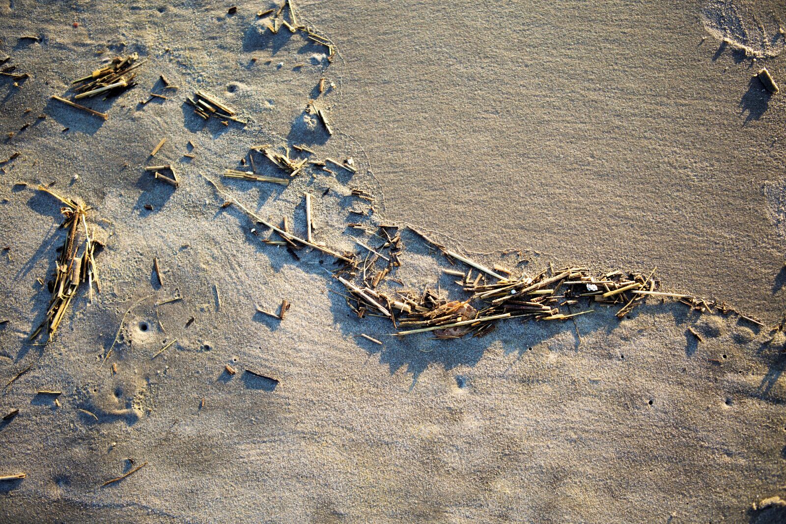 Canon EF 24-70mm F2.8L USM sample photo. Sand, the atlantic ocean photography