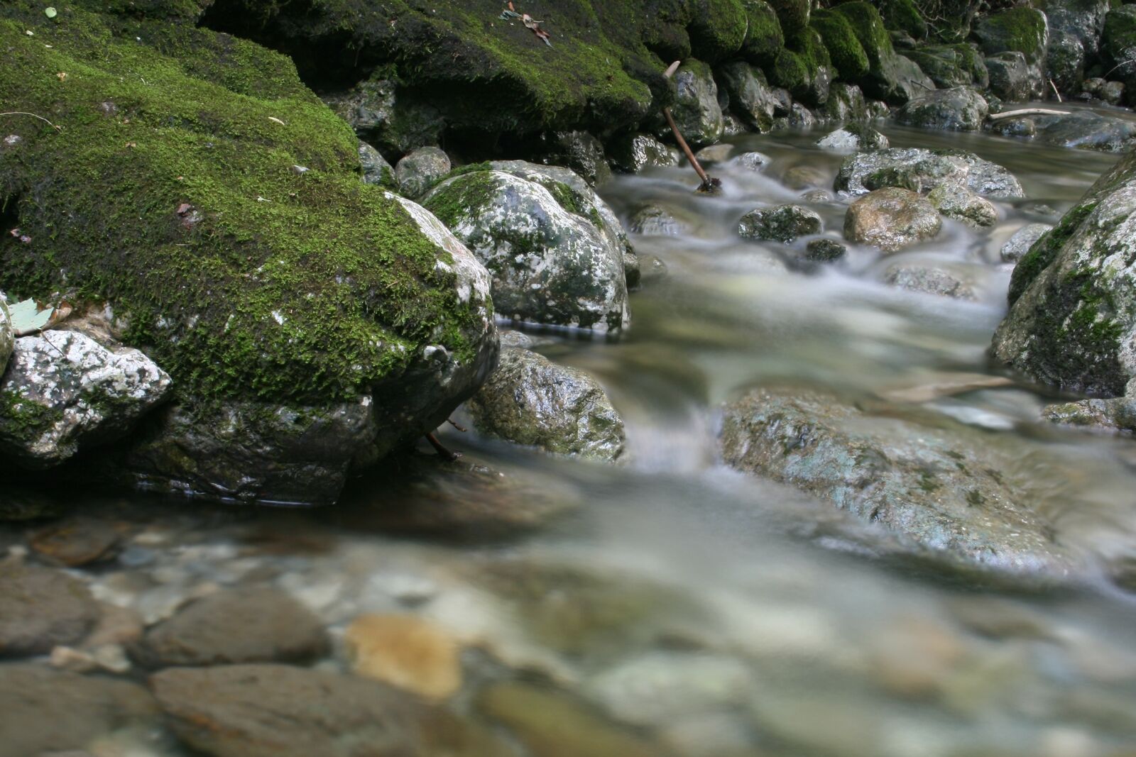 Canon EOS 400D (EOS Digital Rebel XTi / EOS Kiss Digital X) sample photo. Bach, water, nature photography
