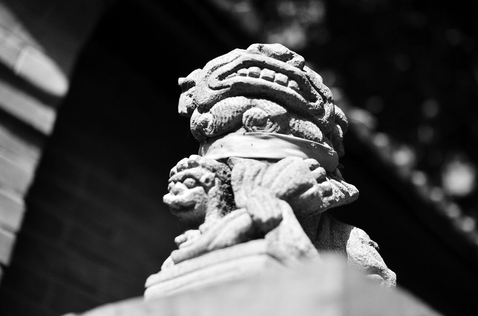 Nikon D7000 sample photo