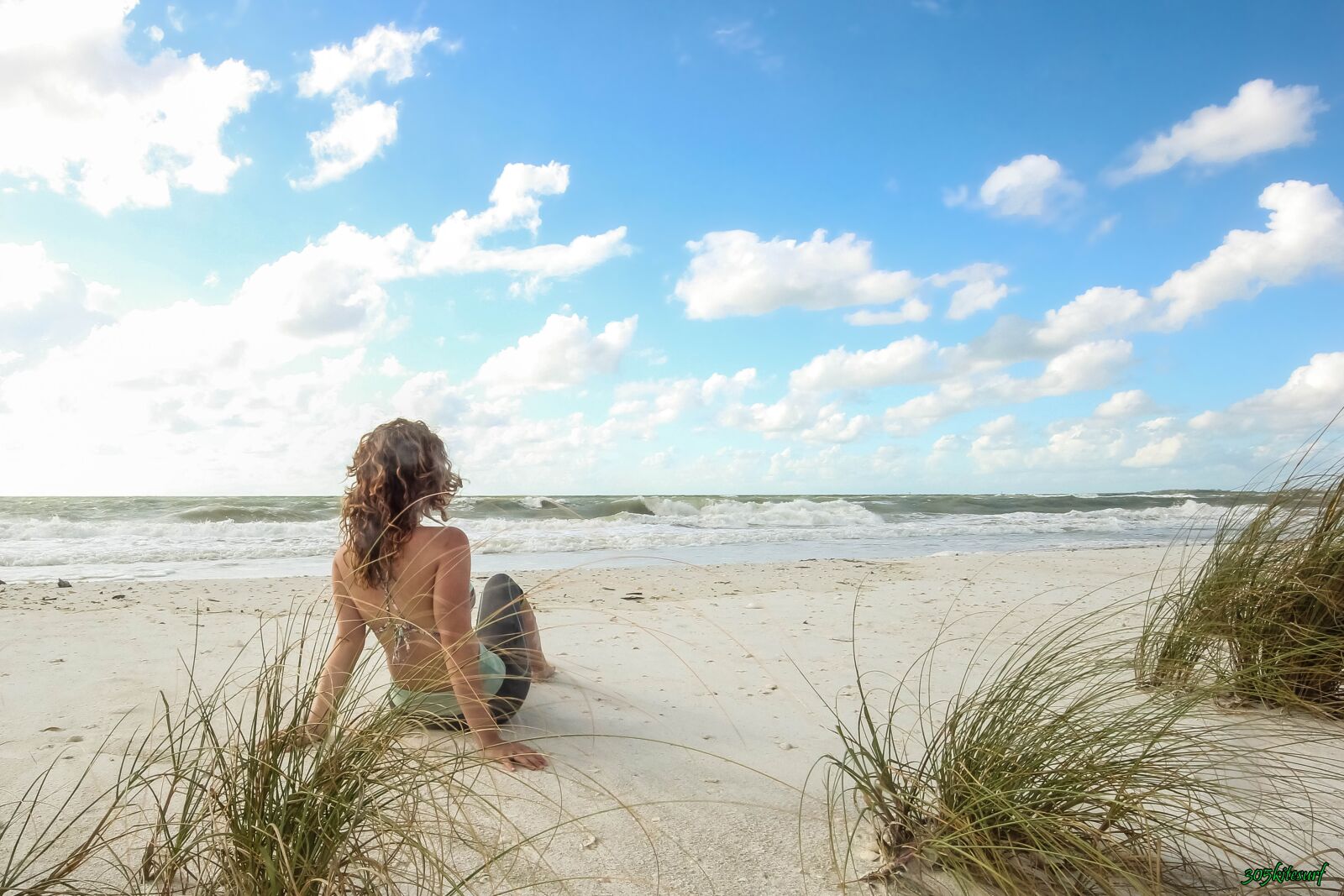 Canon EOS 60D sample photo. Beach, marco island, nature photography
