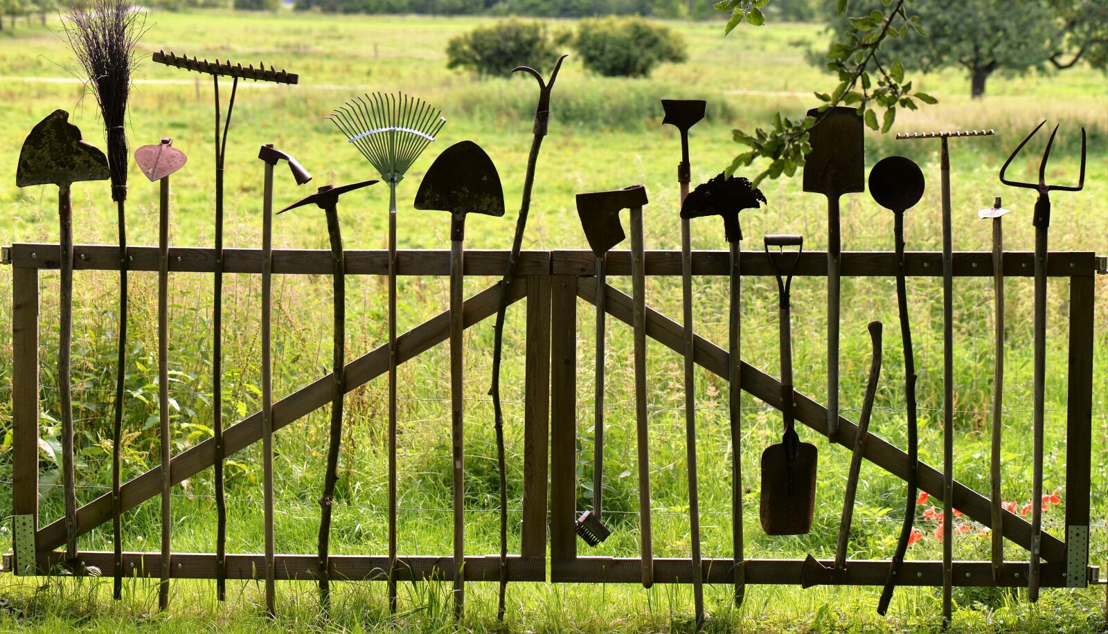 Nikon D610 sample photo. Gardening tools, old, used photography