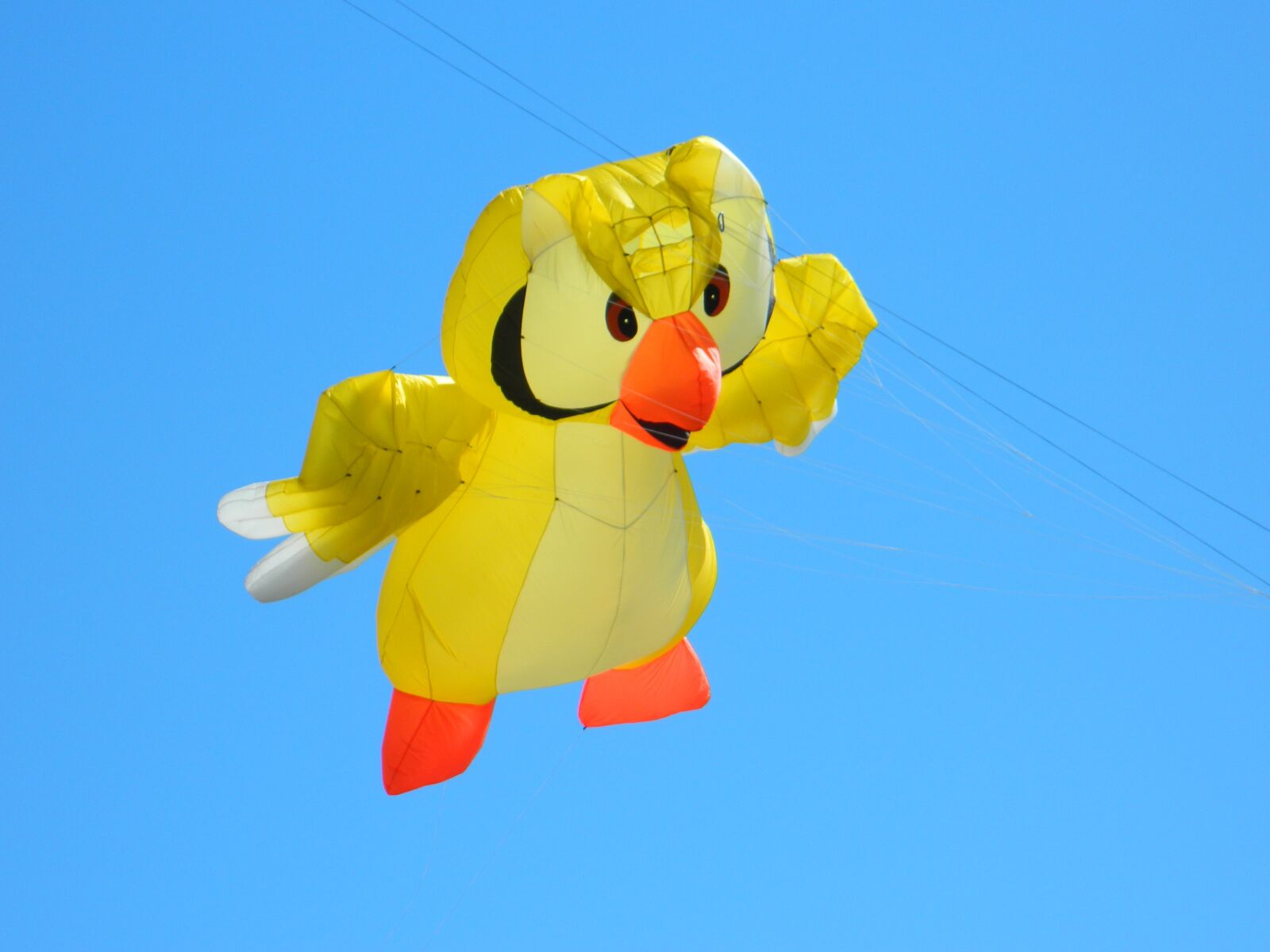 Nikon Coolpix L120 sample photo. Kite, balloon, sky photography