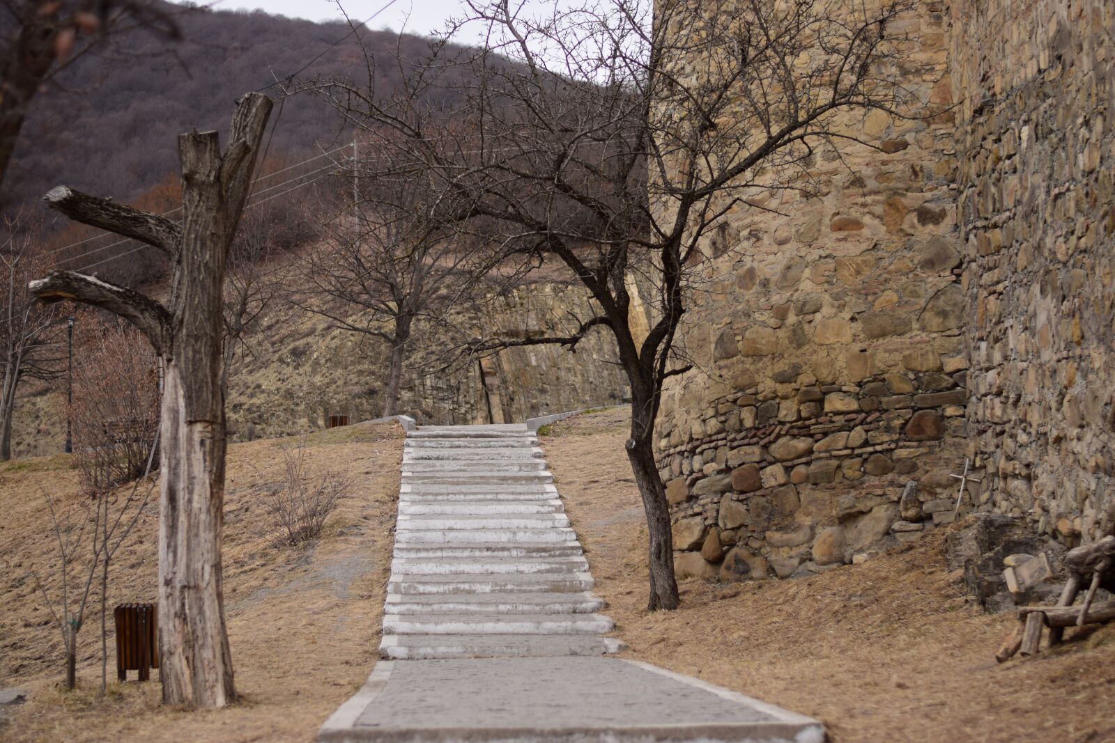 Nikon D5300 sample photo. Ananuri fortress, castle, georgia photography