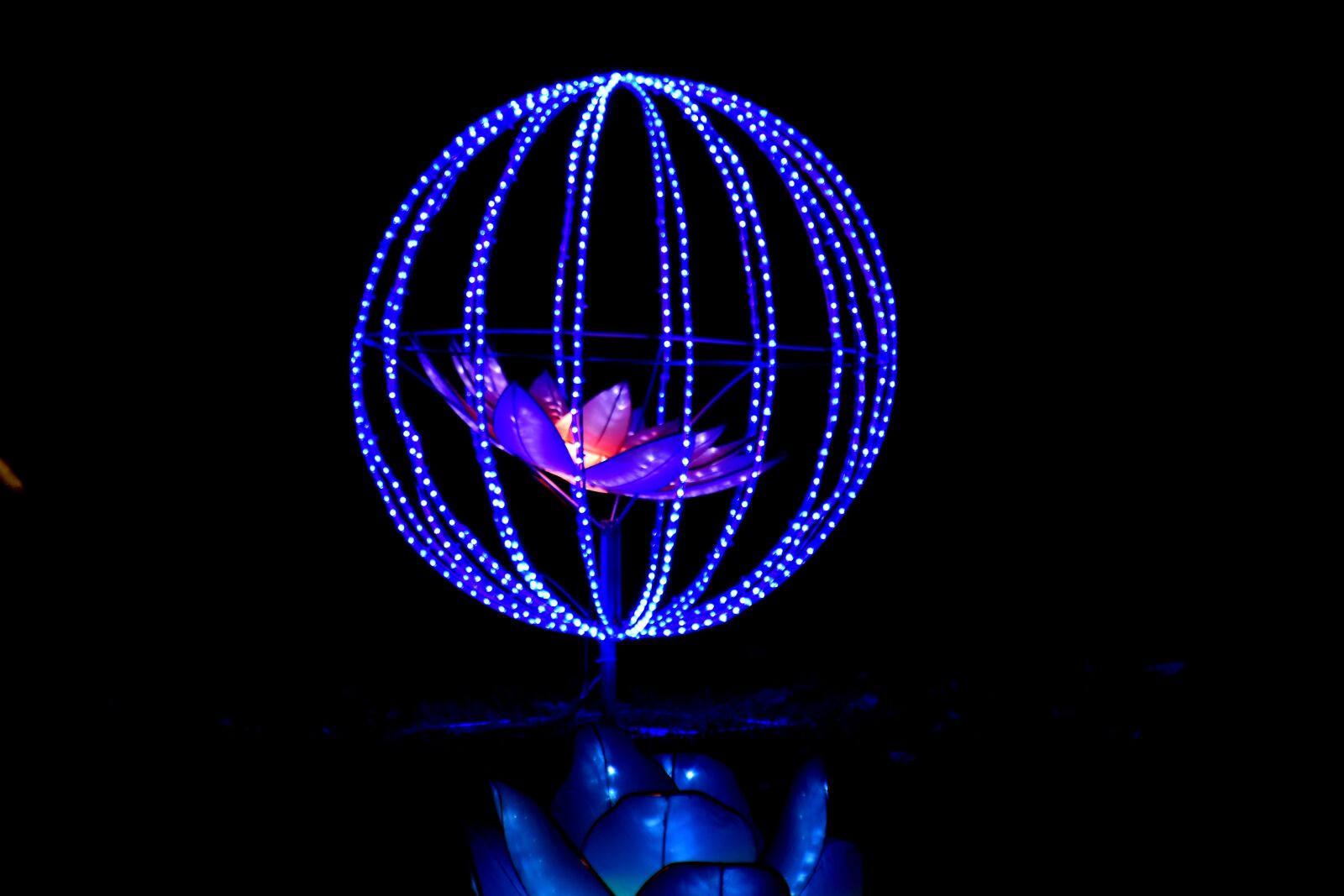 Nikon D5500 sample photo. Blue, darkness, electric, flower photography