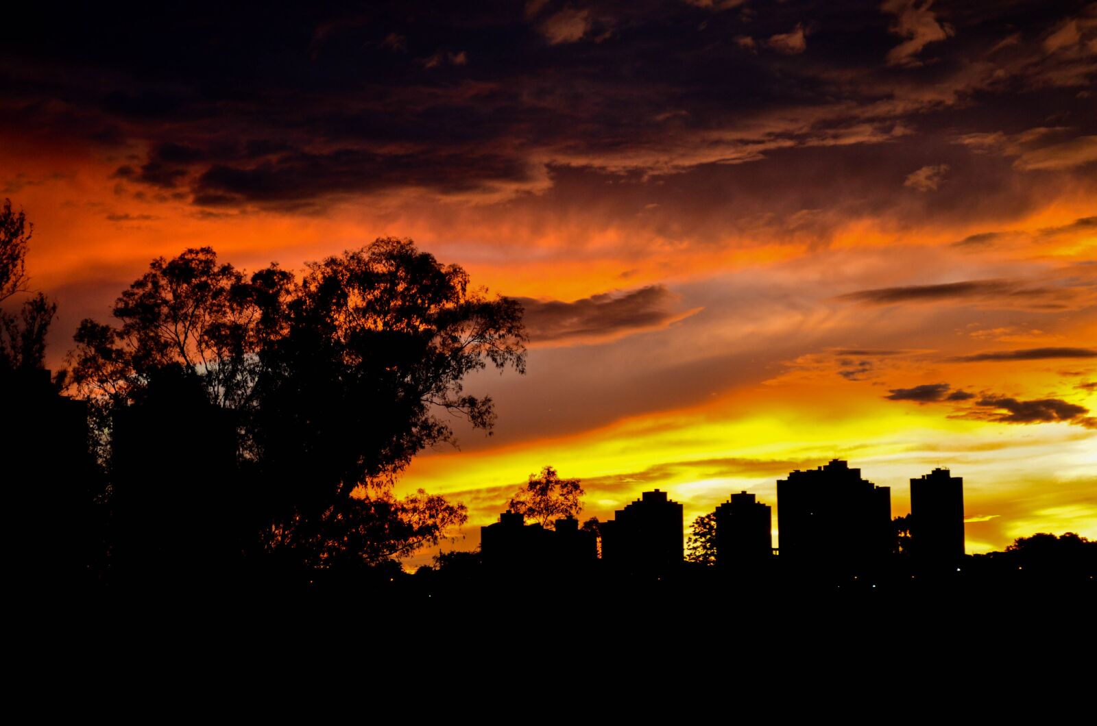 Nikon D5100 sample photo. London, sunset, petra photography