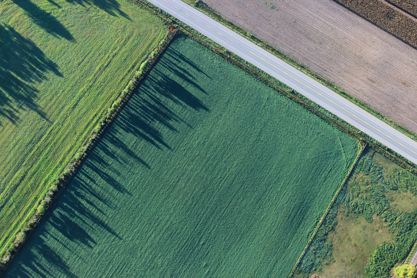 Canon EOS 600D (Rebel EOS T3i / EOS Kiss X5) sample photo. Agriculture, cropland, farm photography