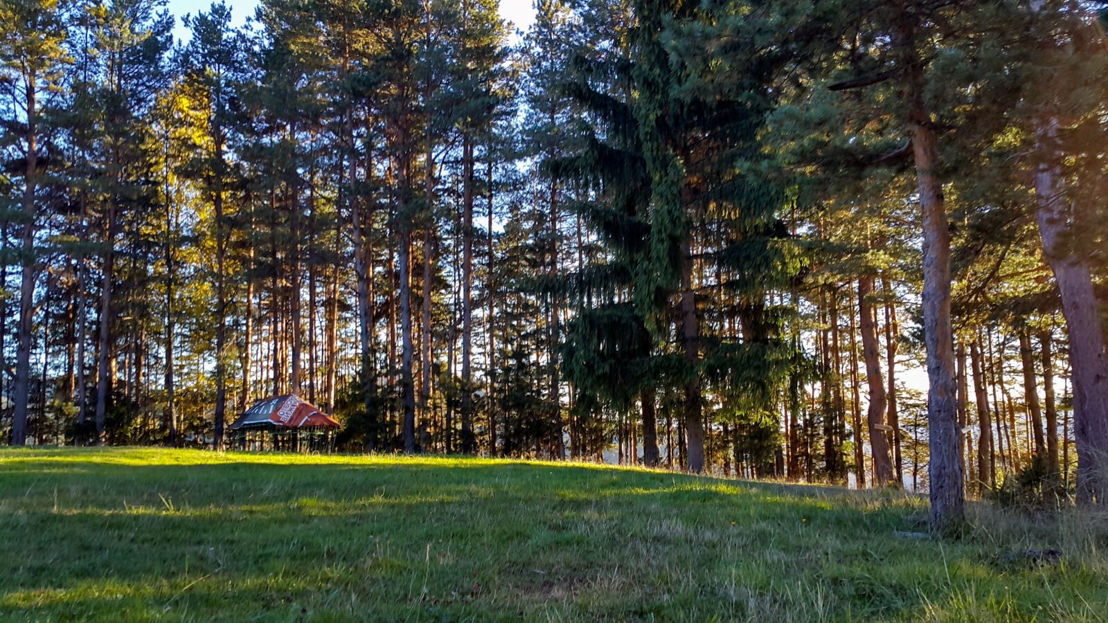 Samsung Galaxy Note4 sample photo. Blue, forest, green, light photography