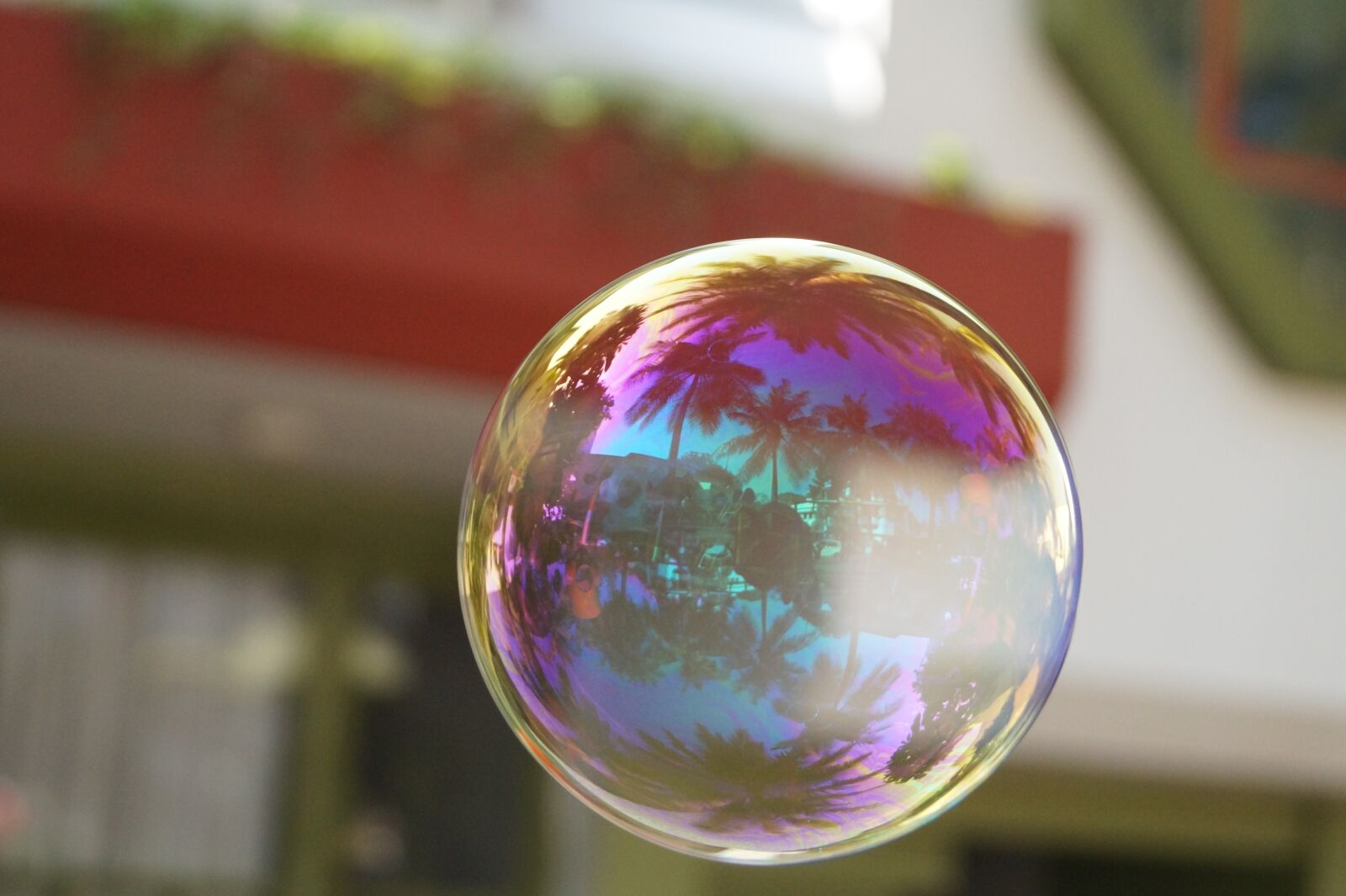 Sony DT 18-55mm F3.5-5.6 SAM II sample photo. Soap, bubble, colourfull photography