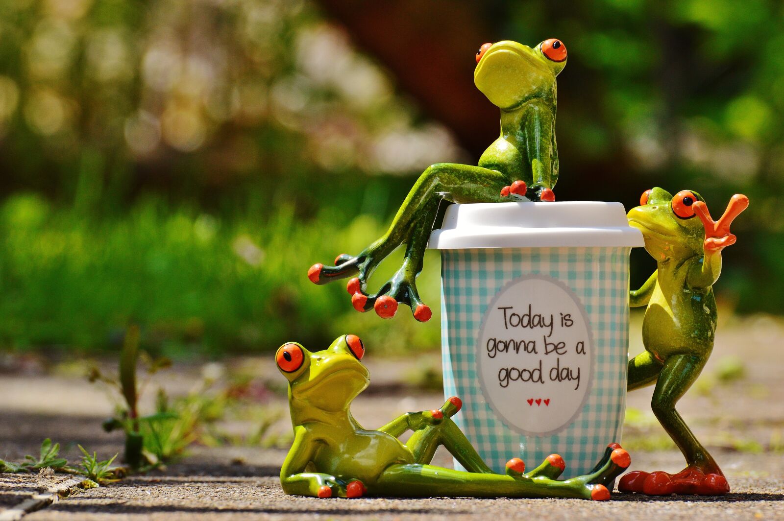 Nikon D3200 sample photo. Beautiful day, joy, frog photography