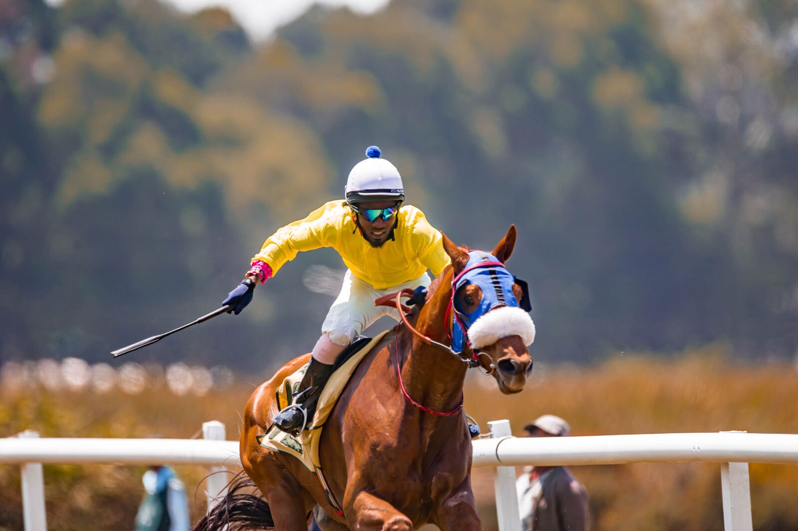 Nikon D3S sample photo. Horse, race, speed photography