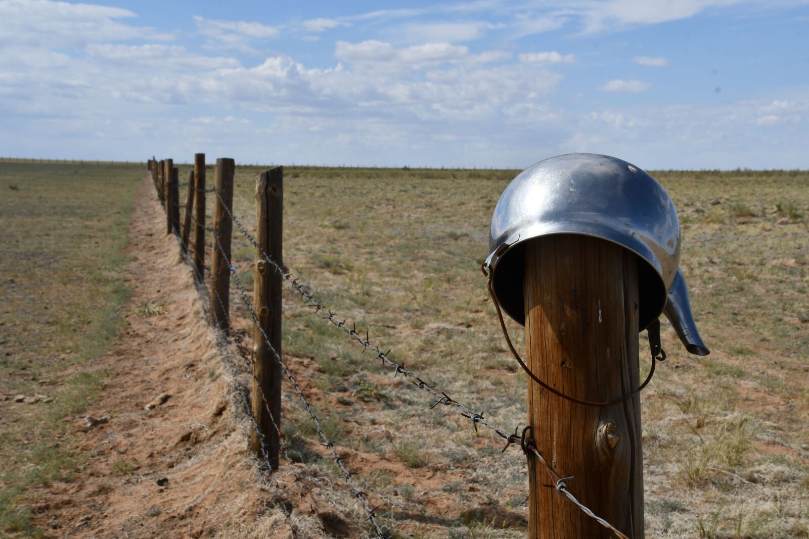 Nikon D7500 sample photo. Wide, pot, fence photography