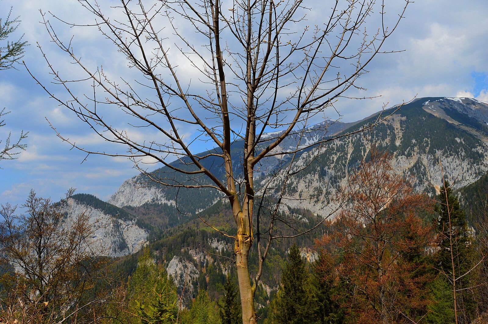 Nikon D3200 sample photo. Snow mountain, rax, lower photography