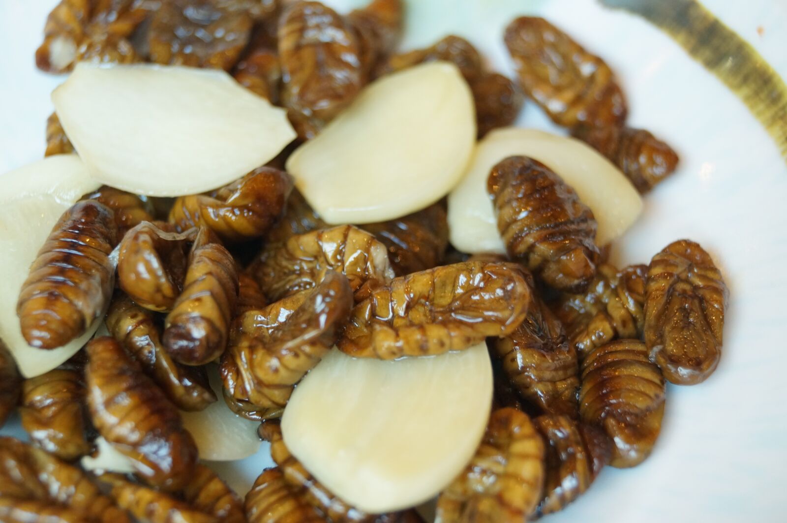 Sony SLT-A57 sample photo. Chrysalis, silkworm, garlic chrysalis photography