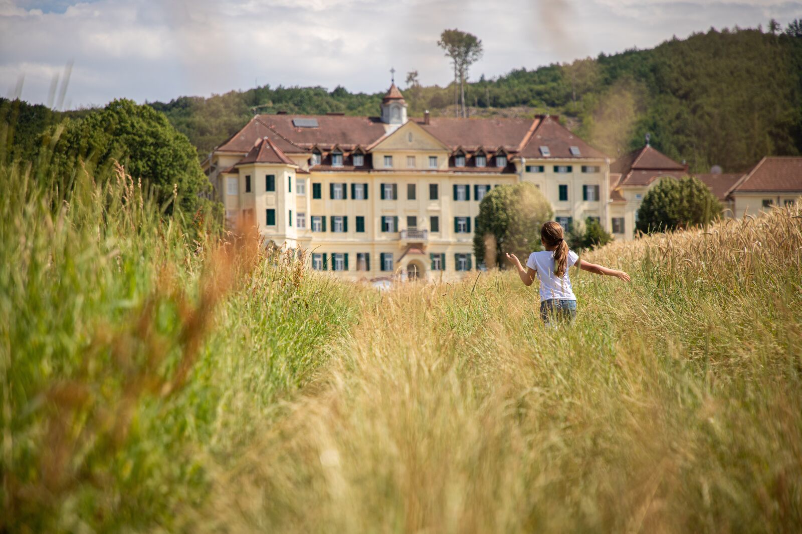 Canon EF 24-105mm F4L IS II USM sample photo. Field, nature, mansion photography