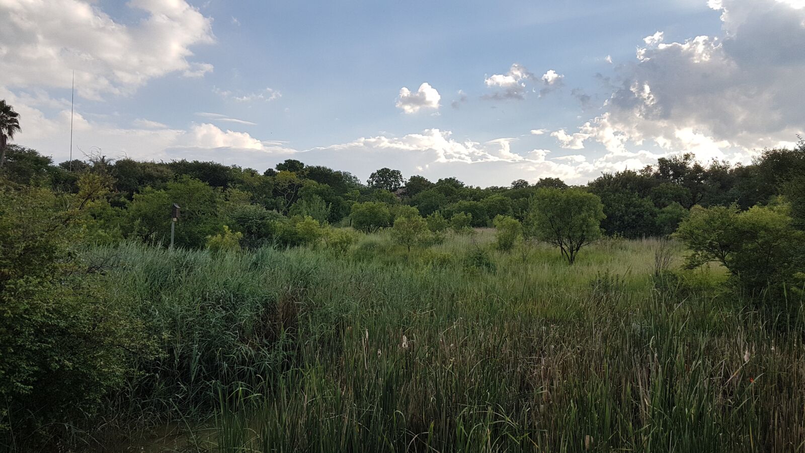Samsung Galaxy S7 Edge sample photo. Africa, wetland, landscape photography