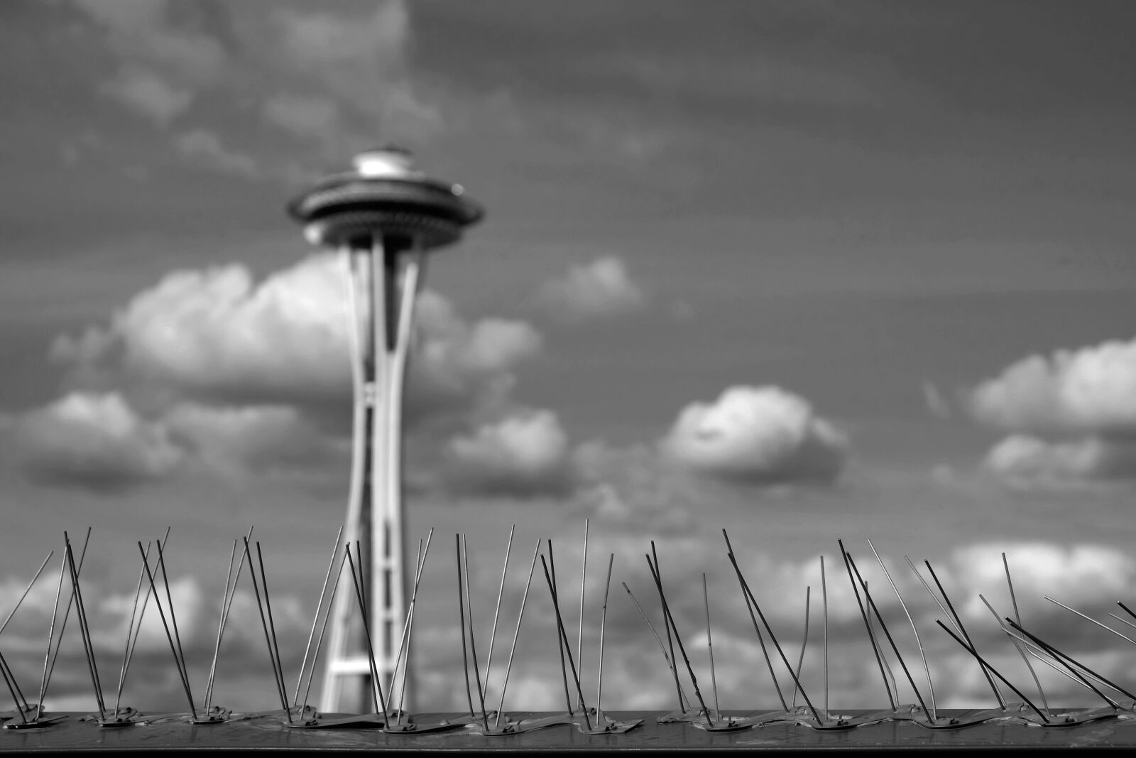 Fujifilm X-T1 sample photo. Bird, spikes, clouds, seattle photography