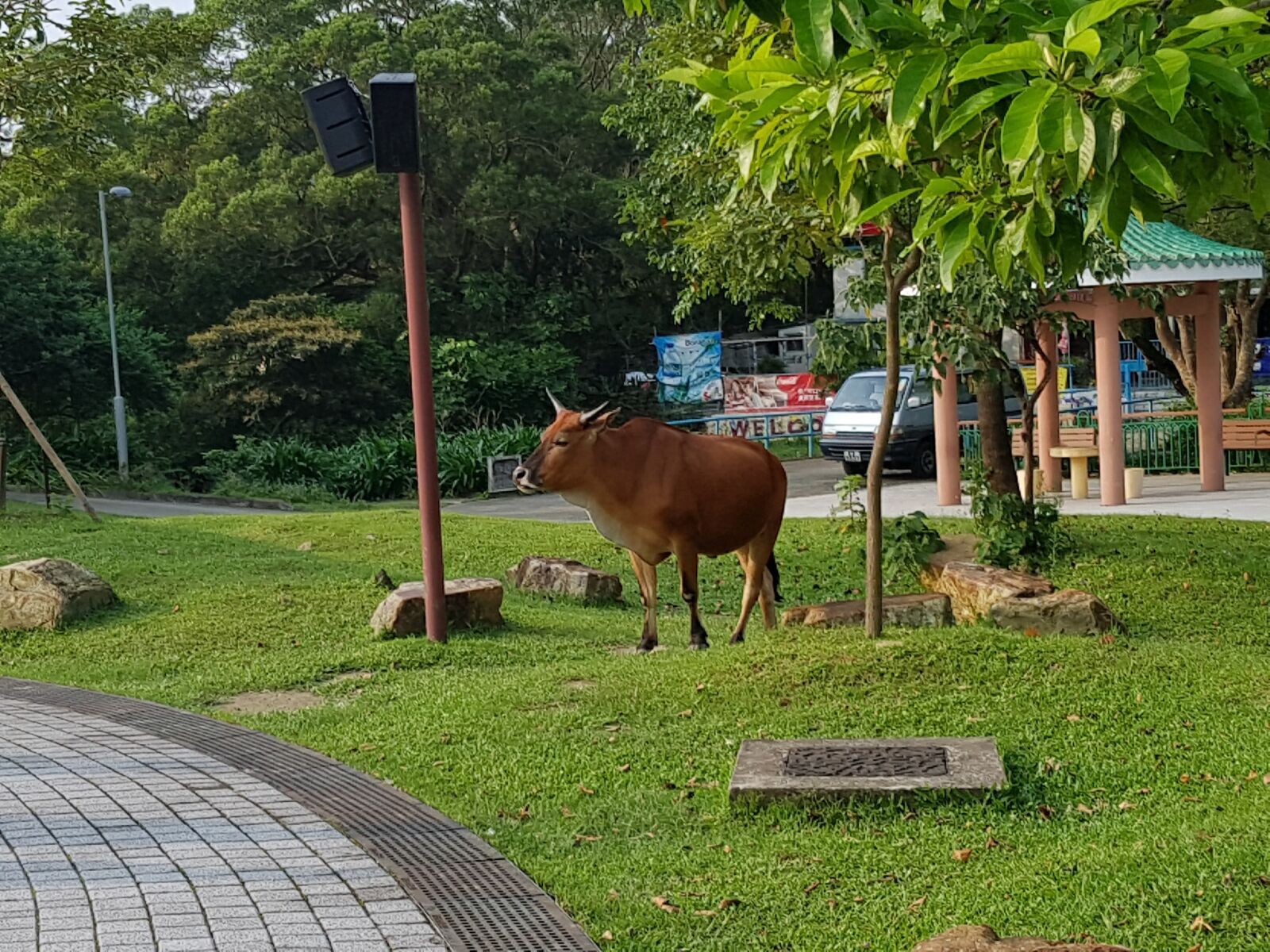 Samsung Galaxy S7 Edge sample photo