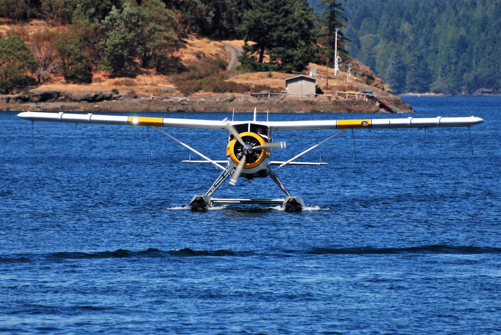 Nikon D80 sample photo. Seaplane, canada, island photography