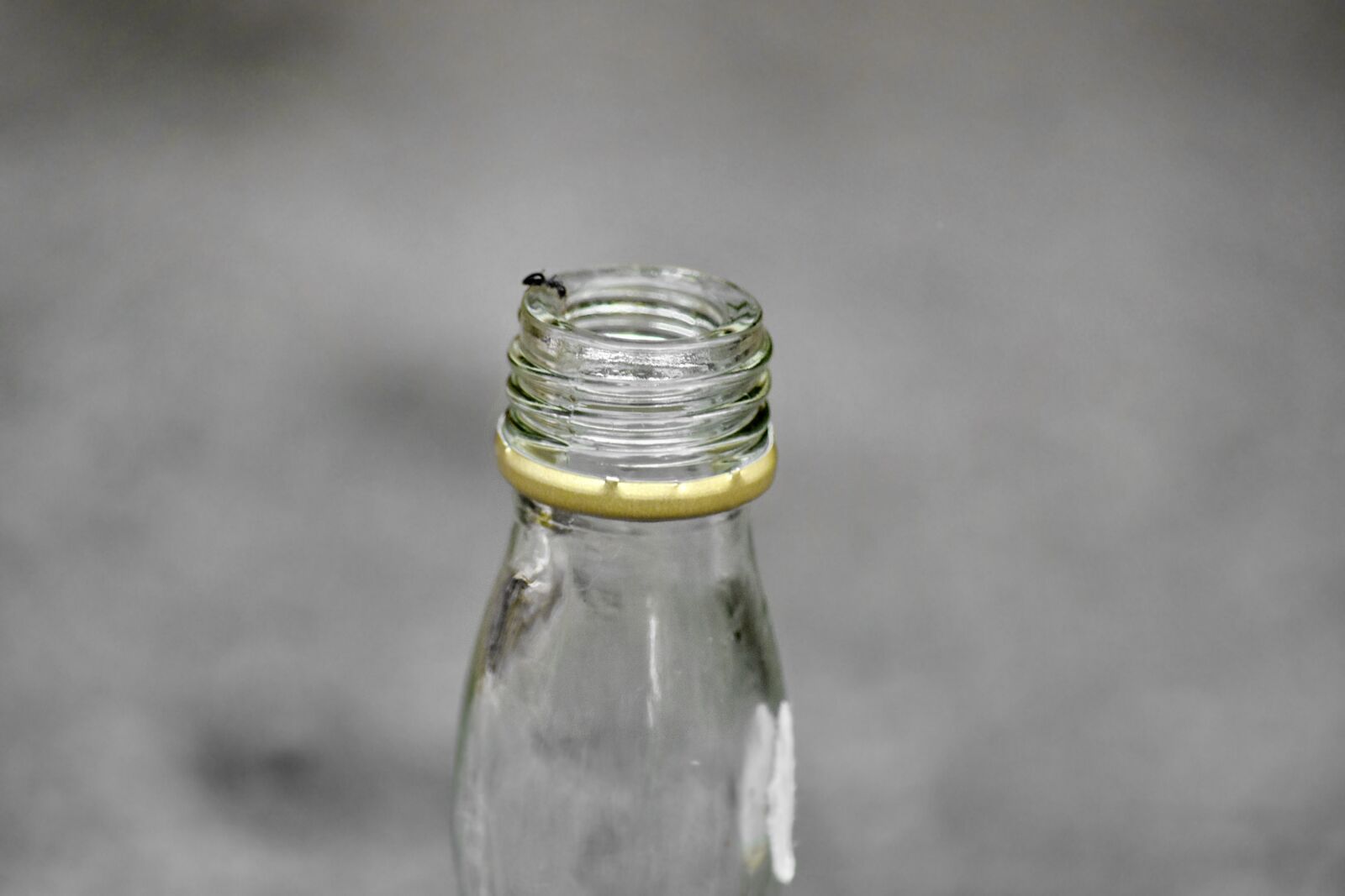 Nikon D5500 sample photo. Detail, focus, glass, grey photography