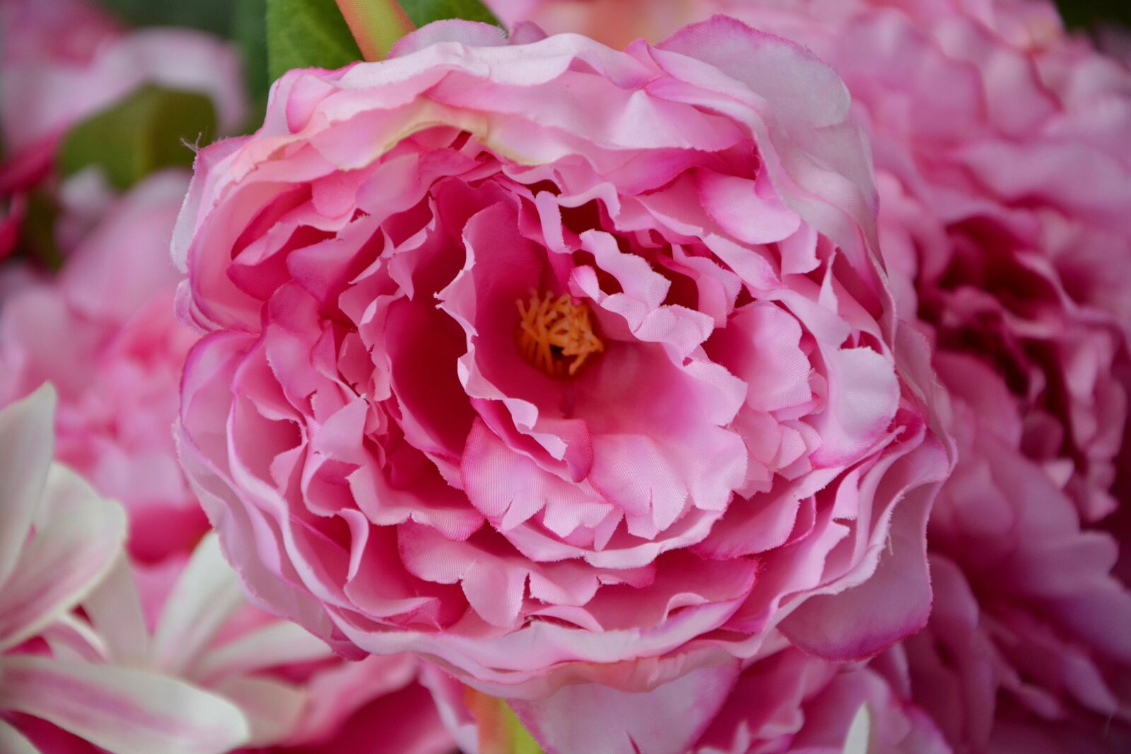 Nikon D5200 sample photo. Flower, flowers, fabric flower photography