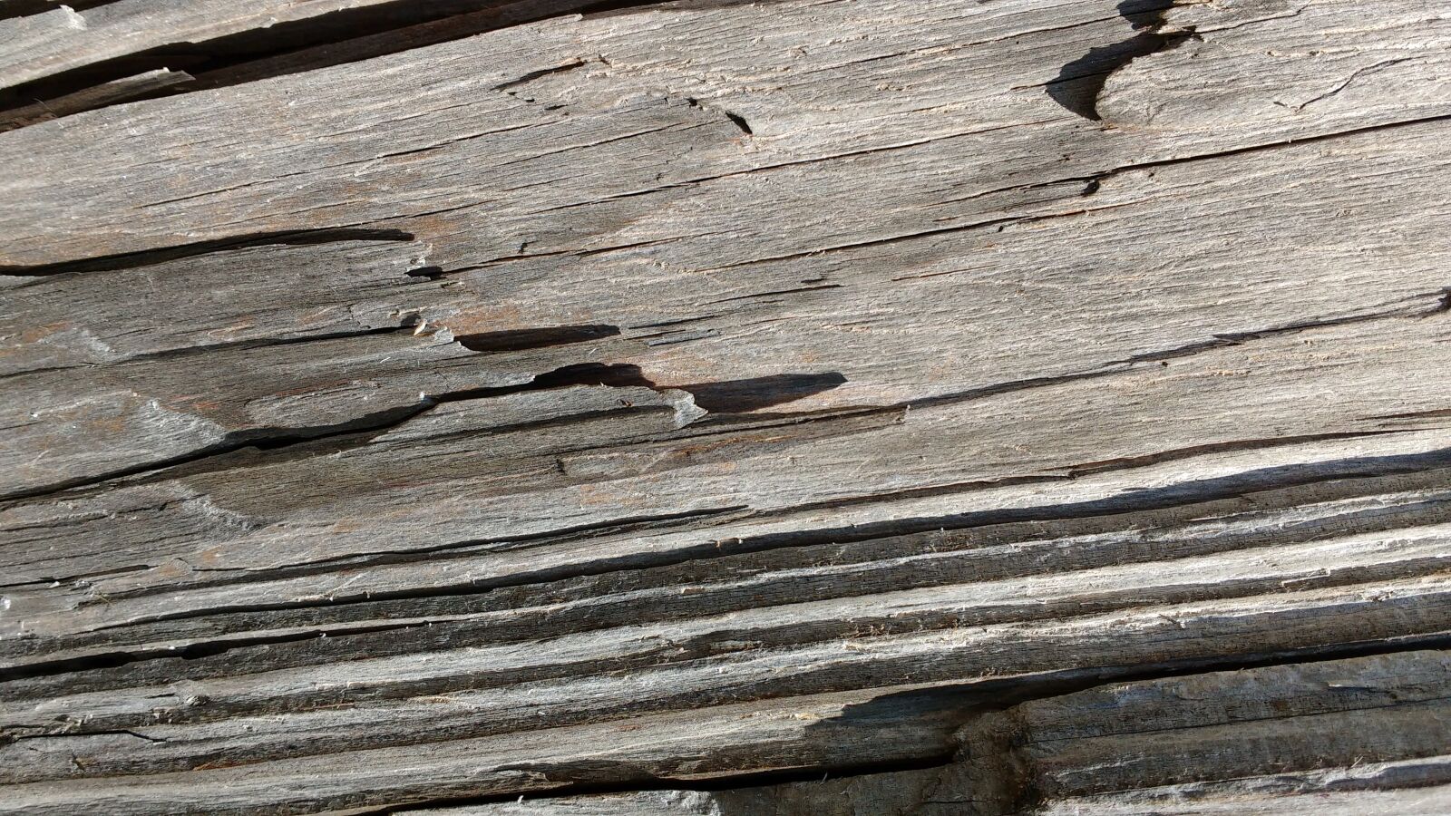 Motorola MotoG3 sample photo. Old wood, fibers, grain photography