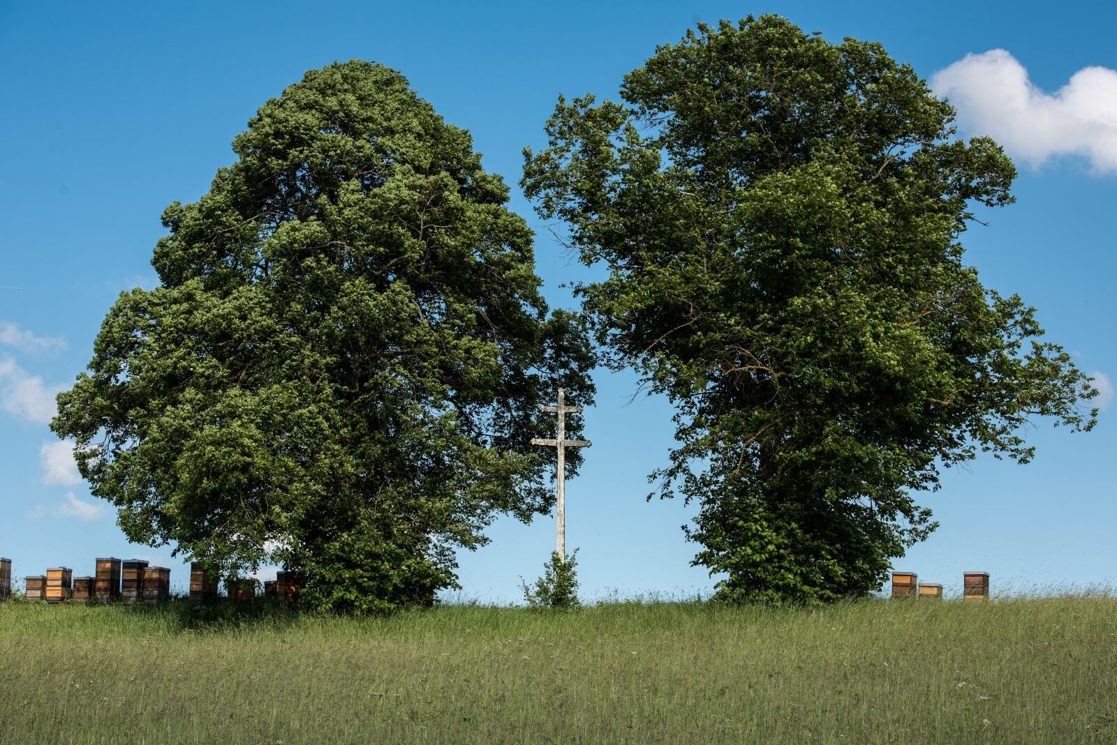 Nikon D810 sample photo. Albstadt, gallows hill, cross photography