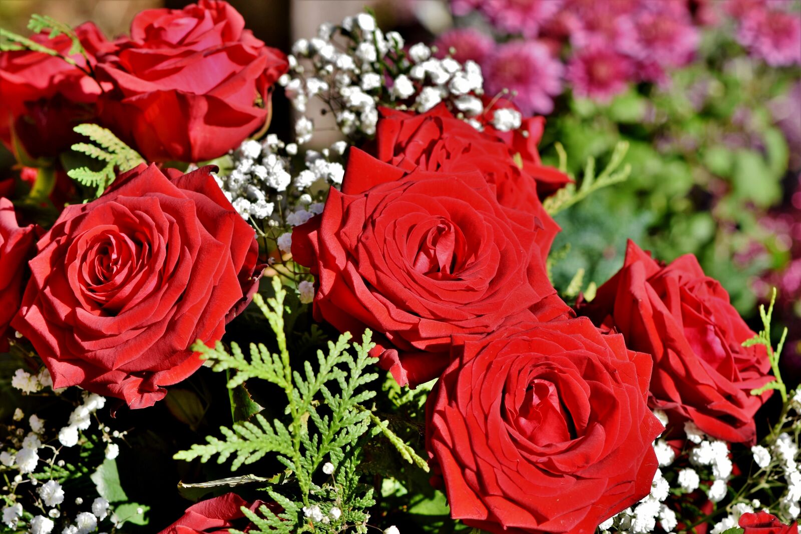 Nikon D7200 sample photo. Rose, bouquet of roses photography