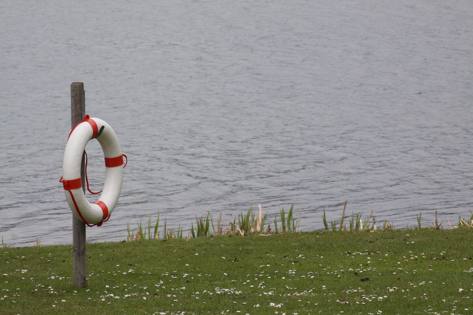 Canon EOS 50D sample photo. Lifebelt, lake, maritime photography
