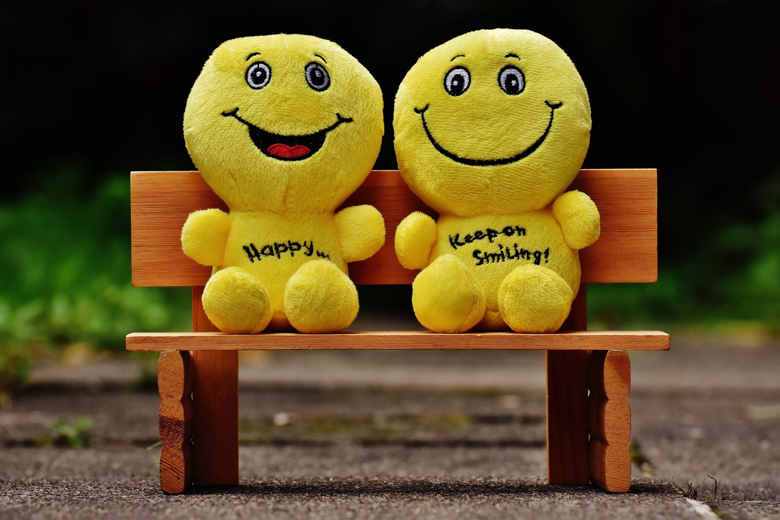 Nikon D7200 sample photo. Smilies, bank, sit photography