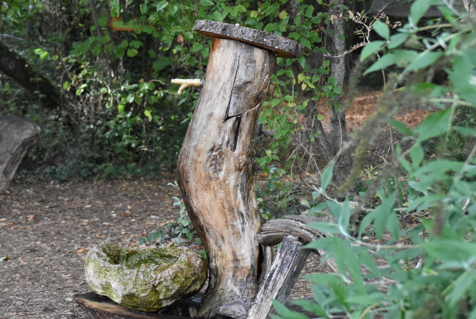 Nikon D5500 sample photo. Forest, fountain, nature photography