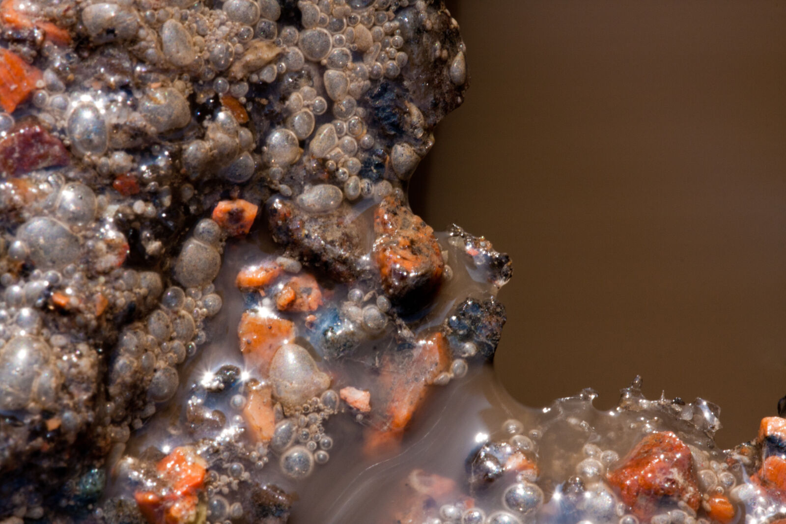 Canon EF 180mm F3.5L Macro USM sample photo