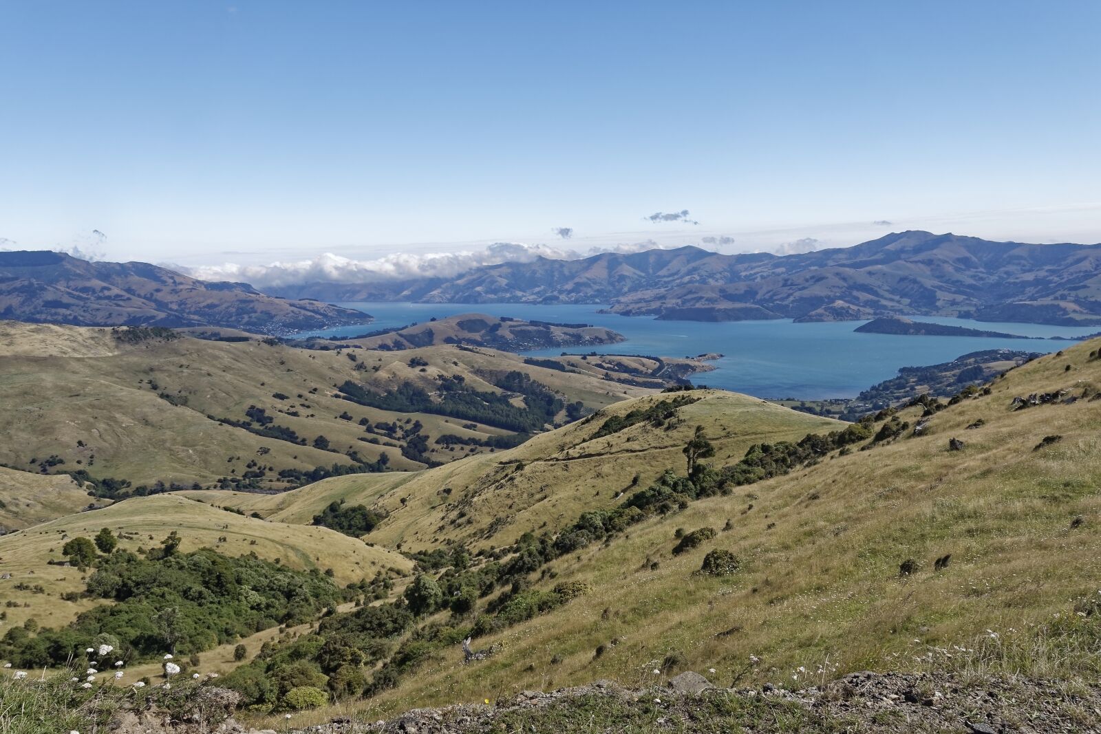 Nikon D500 sample photo. New zealand, banks peninsula photography