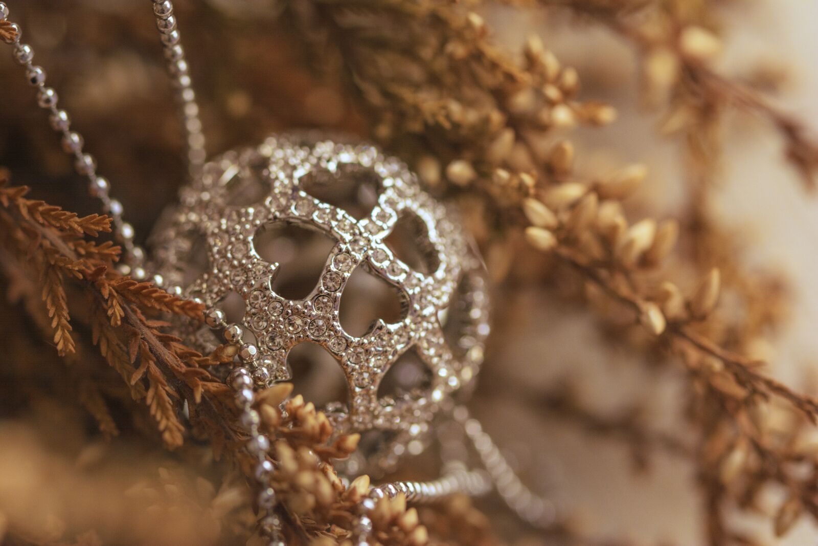 Nikon D7100 sample photo. Pendant, silver, bright photography