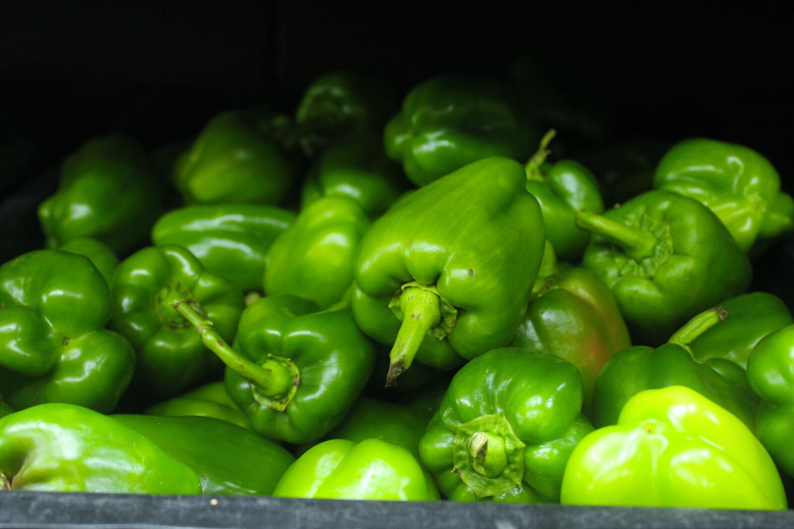 Canon EOS 550D (EOS Rebel T2i / EOS Kiss X4) sample photo. Capsicum, grocery, store photography