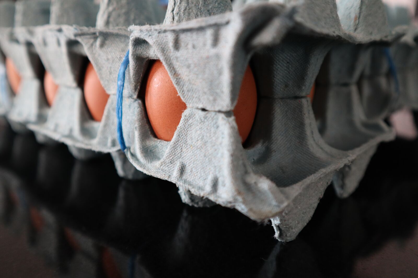 Canon EOS M50 (EOS Kiss M) sample photo. Egg, egg cup, paperboard photography