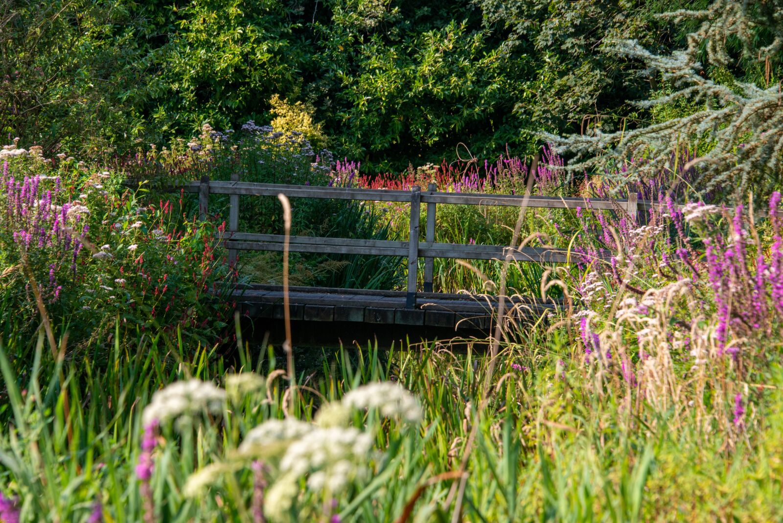 Nikon D800 sample photo. English, country, garden photography