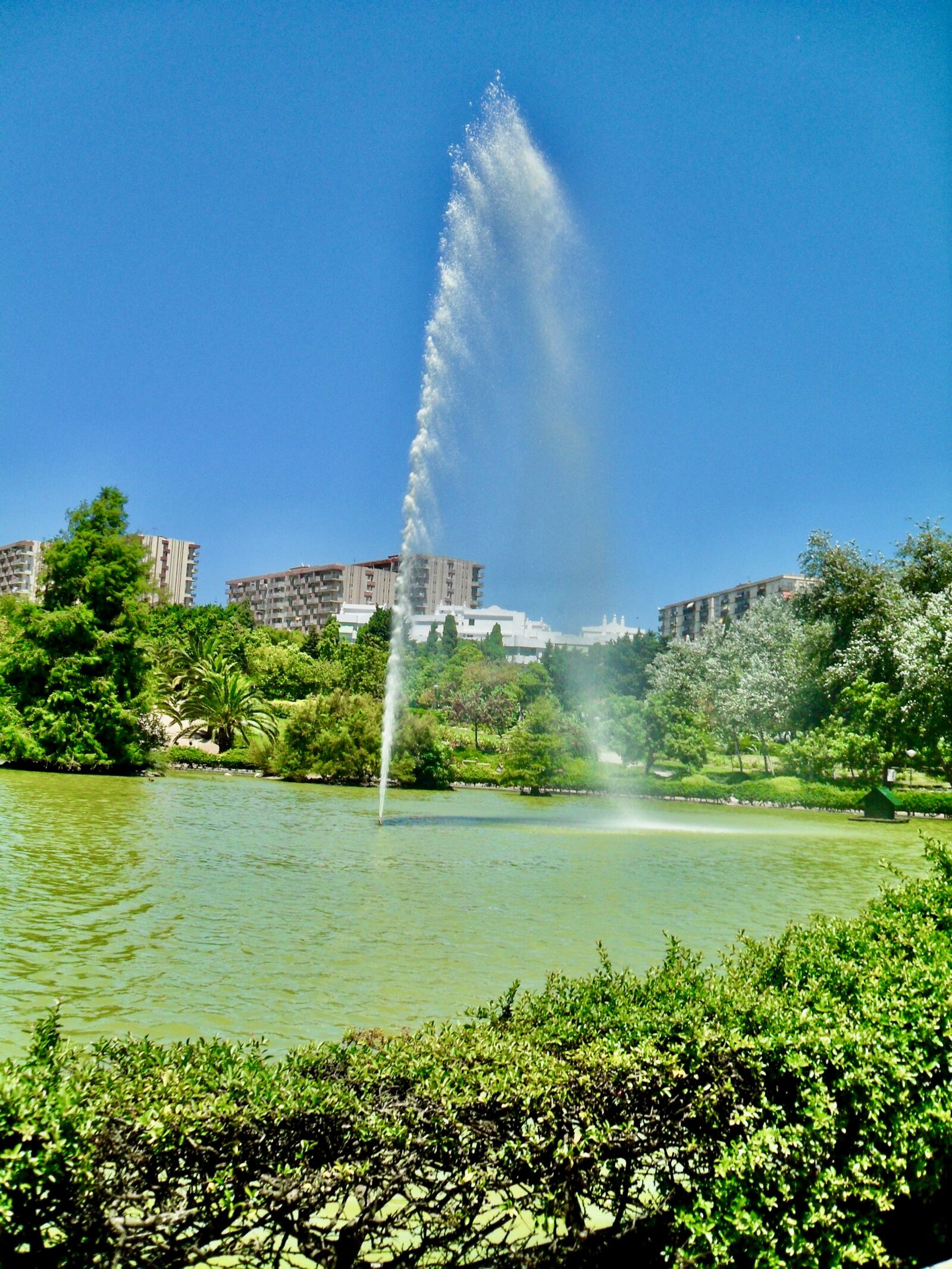 Samsung PL51 / VLUU PL51 /  SL203 sample photo. Water, trees, nature photography