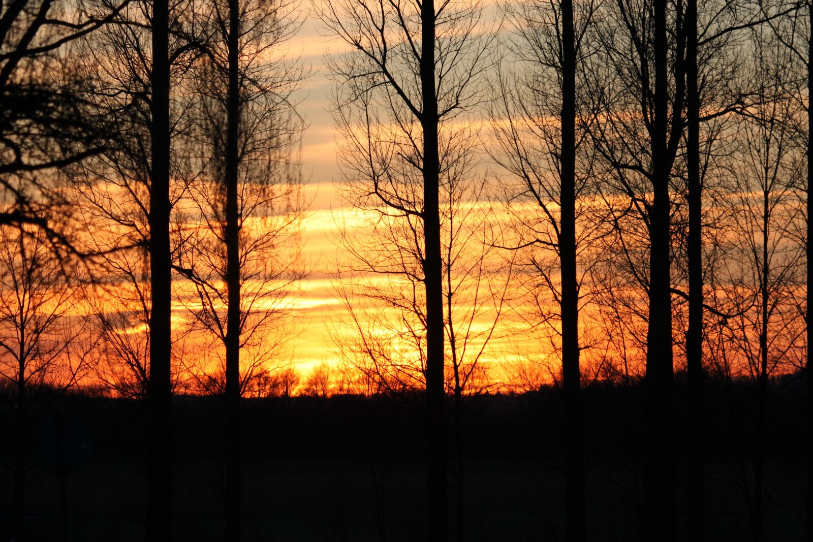 Canon EOS 500D (EOS Rebel T1i / EOS Kiss X3) sample photo. Sunset, night crane, sky photography