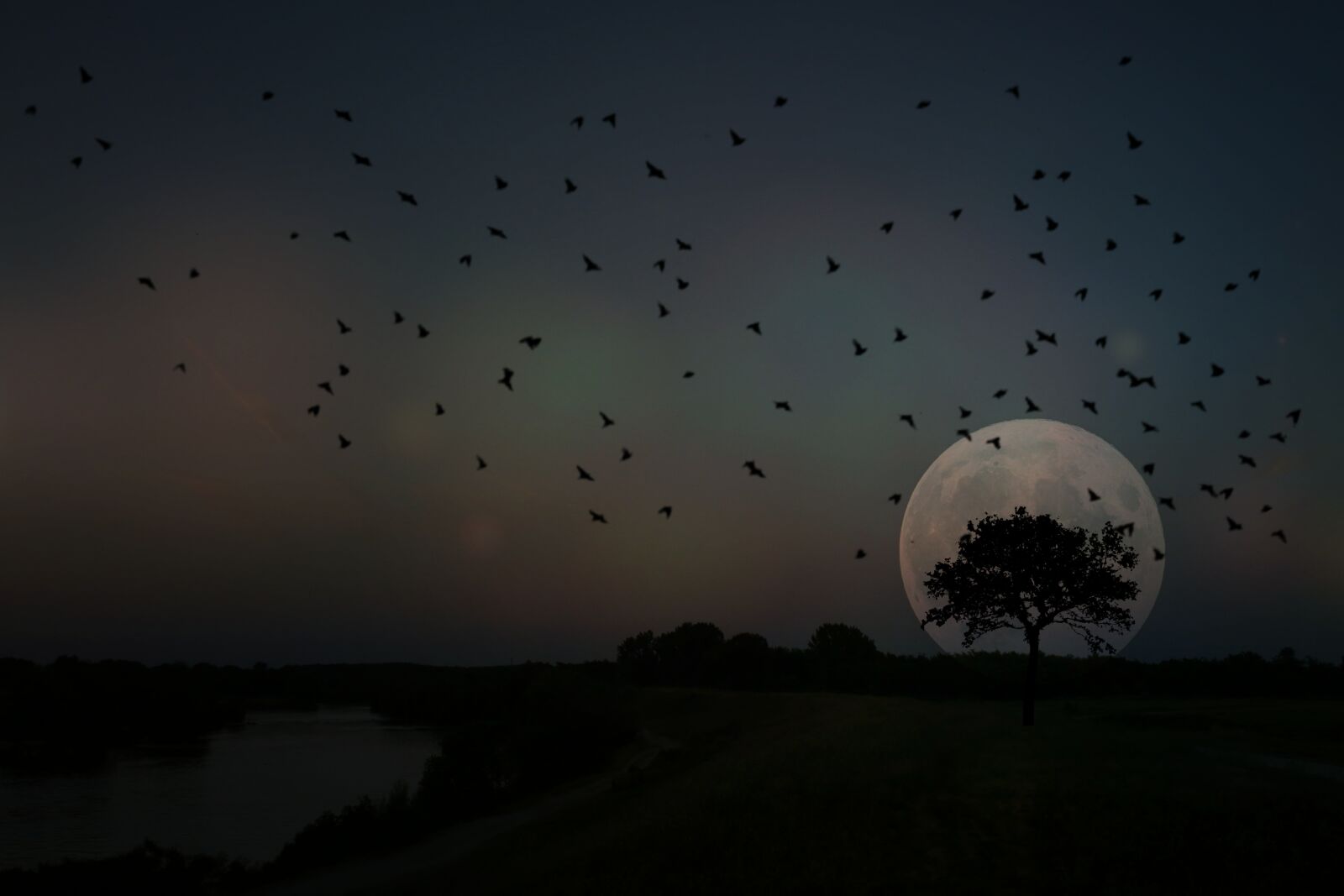 Canon EOS 7D Mark II sample photo. Full moon, tree, birds photography