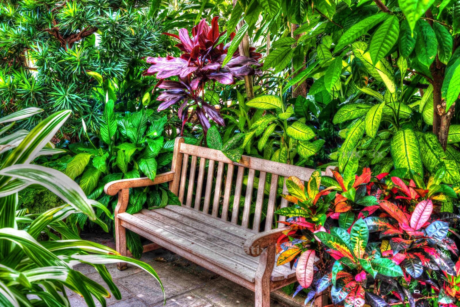 Nikon D750 sample photo. Hdr, greenhouse, garden photography