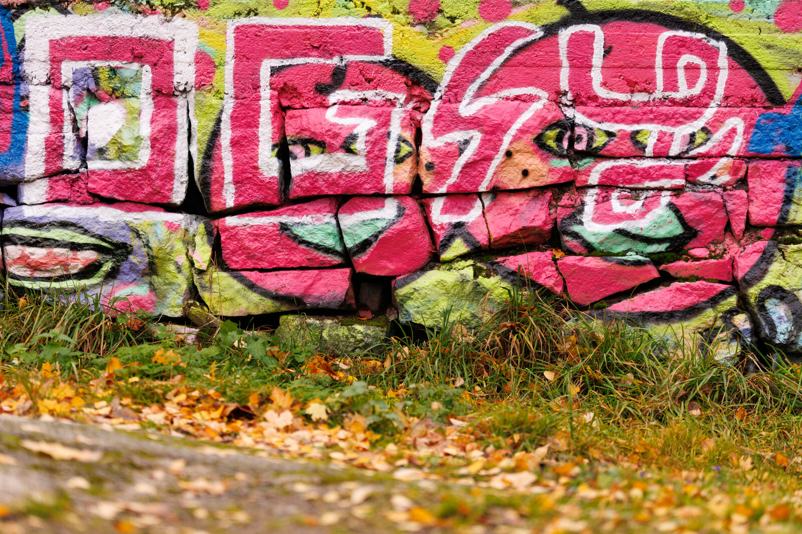 Canon EOS R1 sample photo. Graffiti wall photography