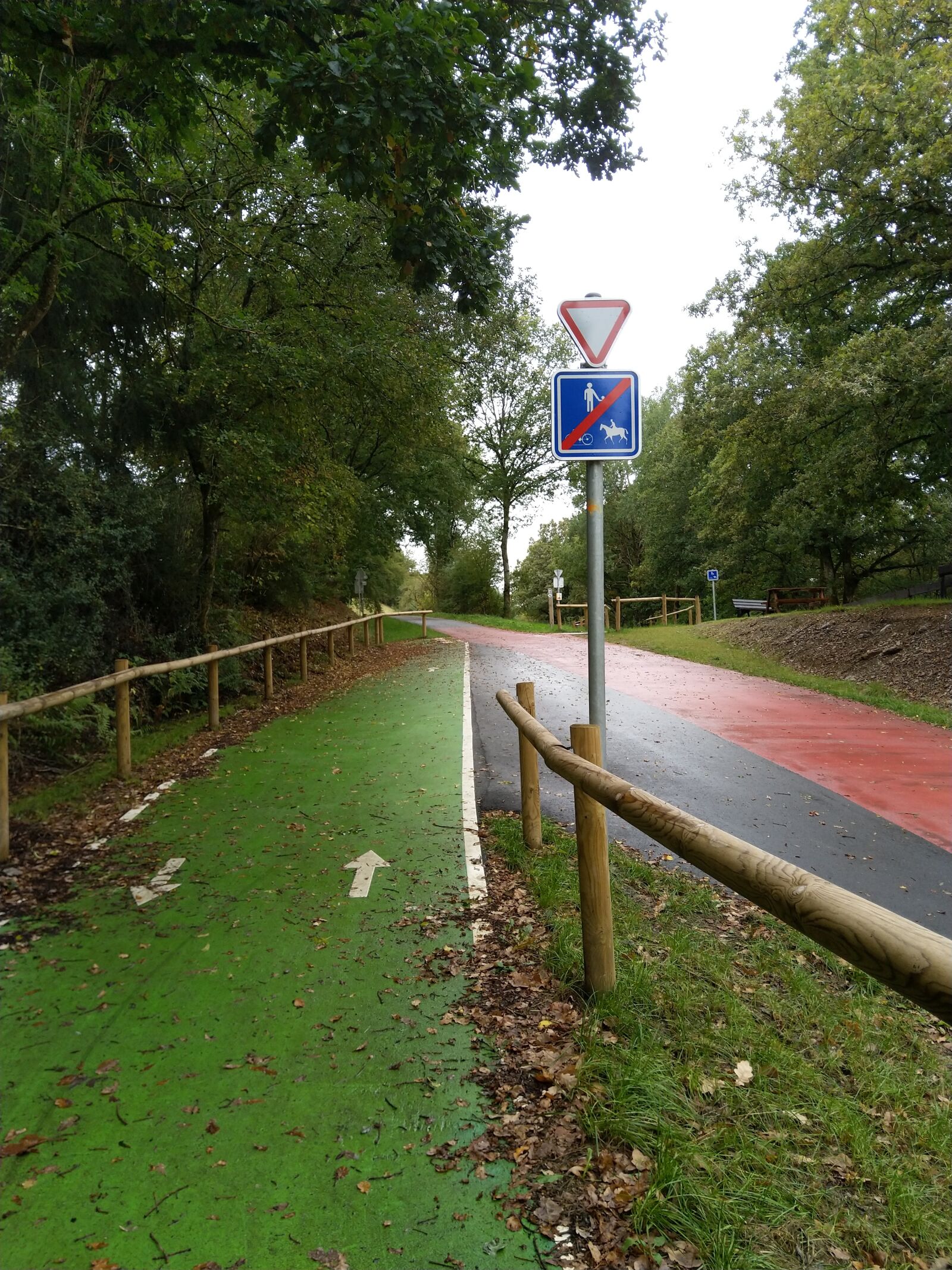 HMD Global Nokia 7 plus sample photo. Bicycle pathway, nature, bike photography