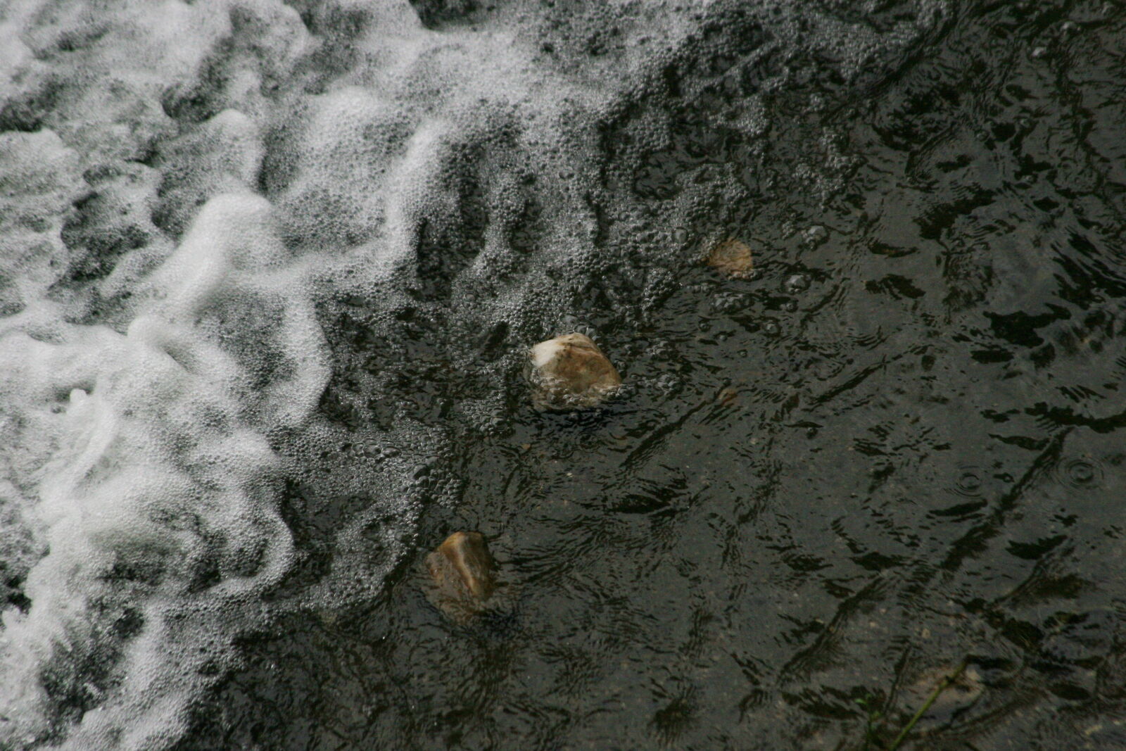 Canon EOS 20D sample photo