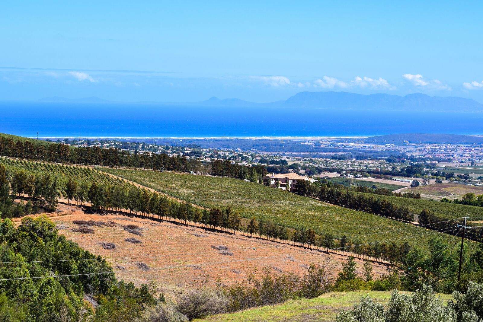 Nikon D5500 sample photo. South africa, vineyard, table photography