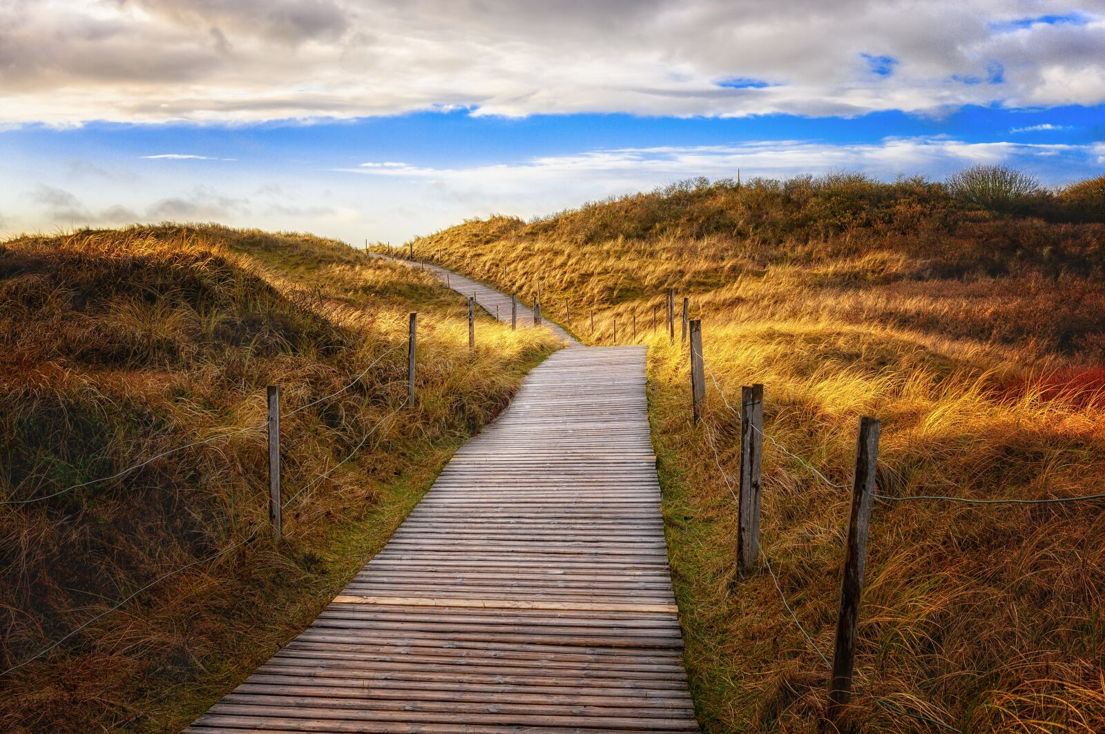 Nikon Z6 sample photo. Away, path, dunes photography