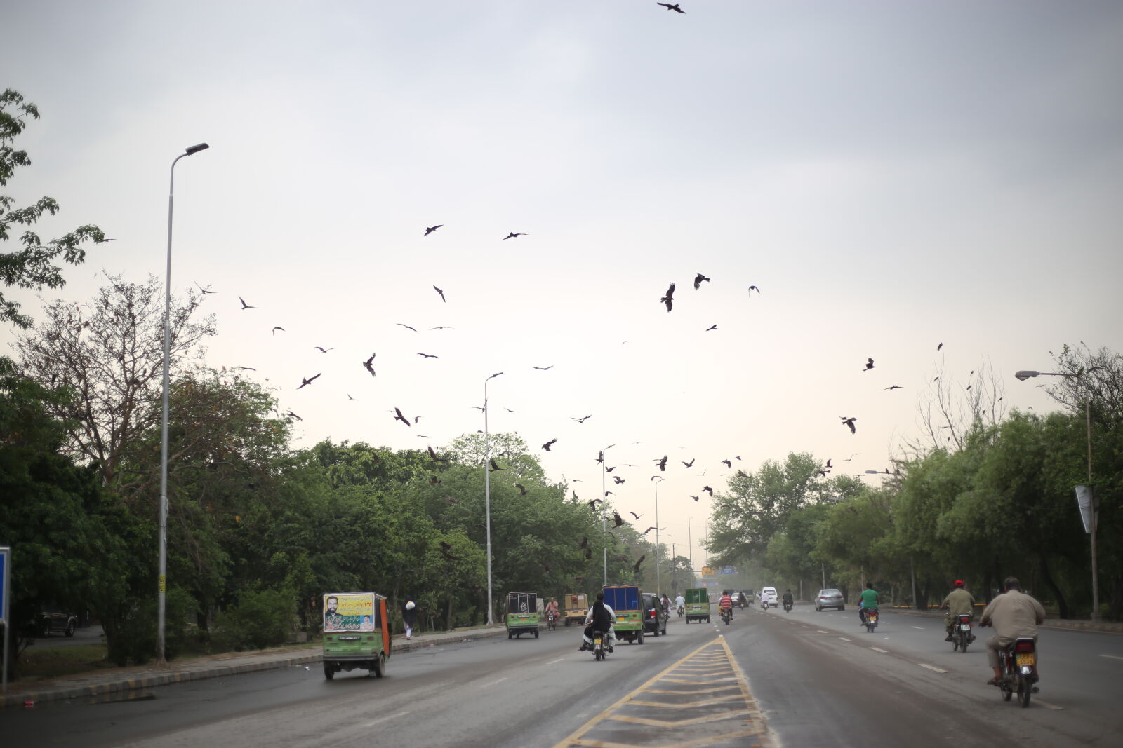 Canon EOS 6D + Canon EF 50mm F1.8 STM sample photo. Cool, grand, place, road photography